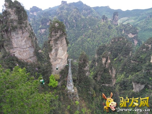 128_352564_5a003b69859e14f_副本.jpg