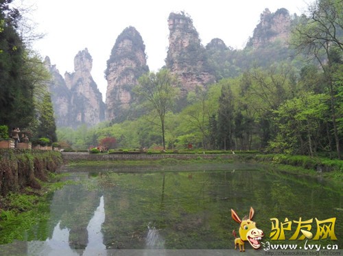 128_352564_4ce17e19ad44e6c_副本.jpg