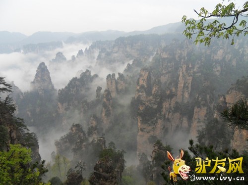 128_352564_dde52c242477158_副本.jpg