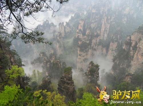 128_352564_080de11707d7ff3_副本.jpg