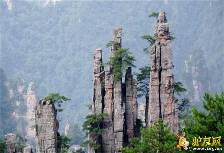 14御笔峰(天子山).jpg