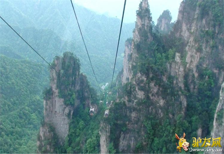 15天子山索道2.jpg